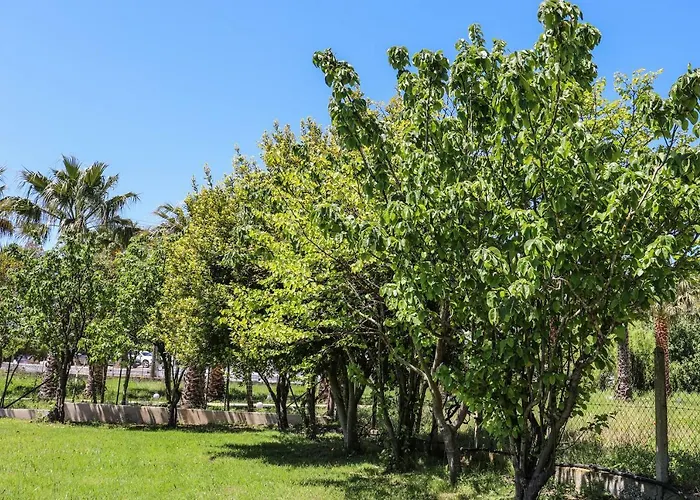 Sunset & Guest house